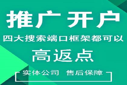 百度竞价代理的运营策略与成功案例分析